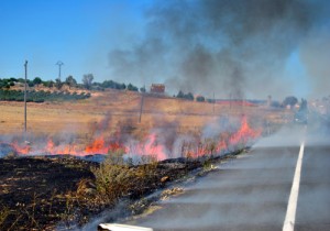 incendio fuentespina llamas