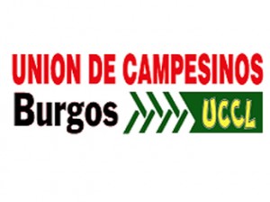 uccl